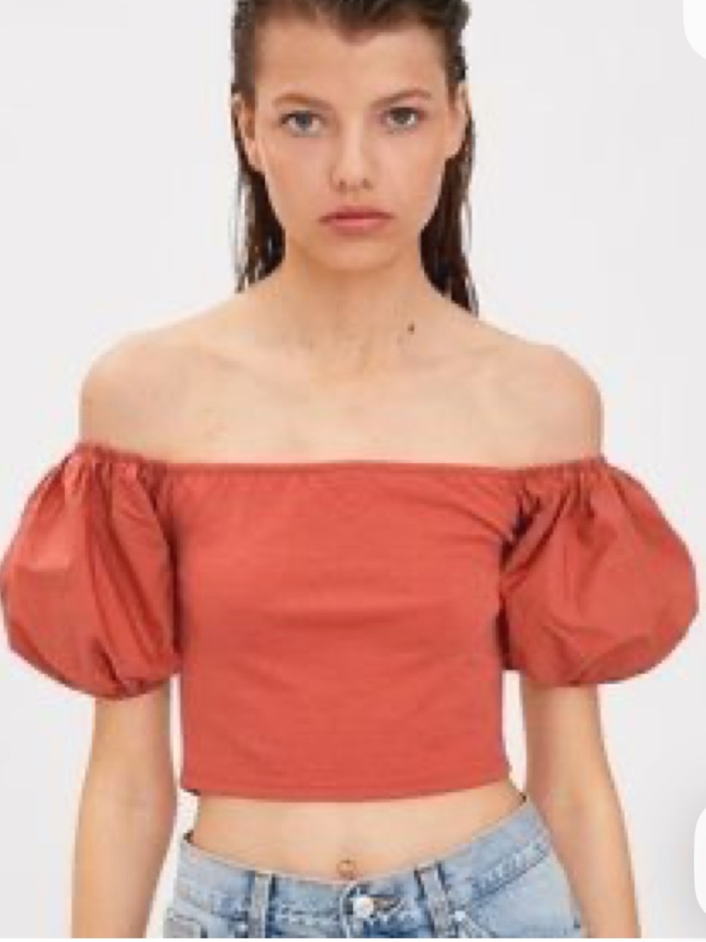 Zara Rust Off-Shoulder Puff Sleeve Crop Top